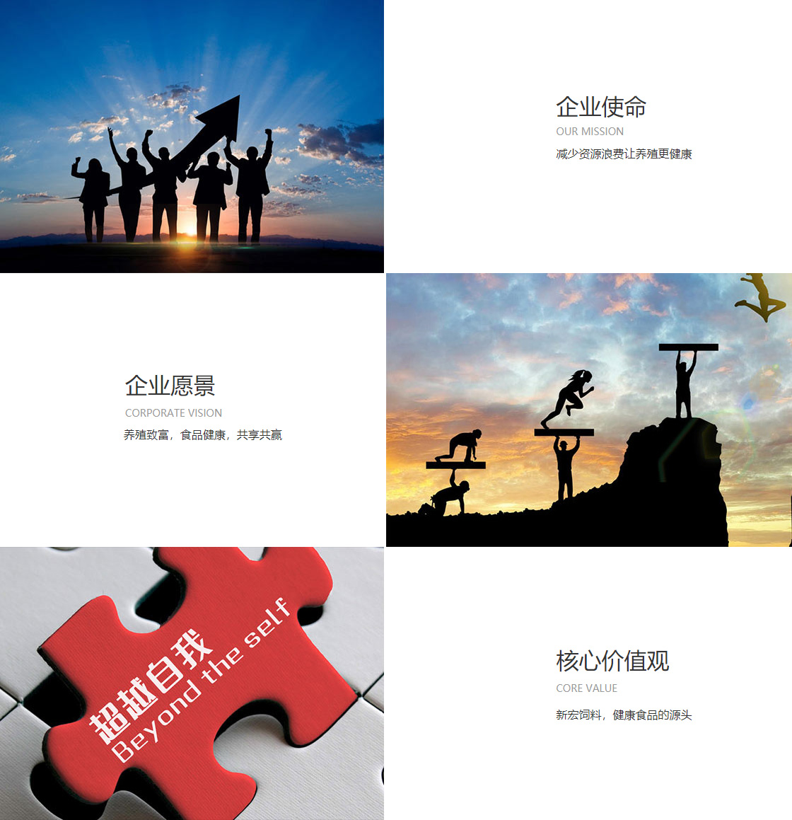LD乐动·体育(图1)